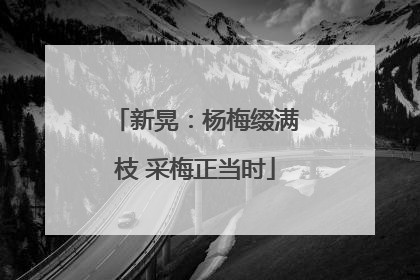 新晃：杨梅缀满枝 采梅正当时