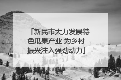 新民市大力发展特色瓜果产业 为乡村振兴注入强劲动力