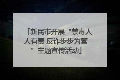新民市开展“禁毒人人有责 反诈步步为营”主题宣传活动