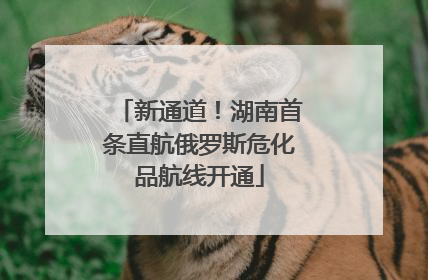 新通道！湖南首条直航俄罗斯危化品航线开通