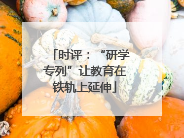 时评：“研学专列”让教育在铁轨上延伸