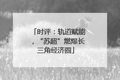 时评：轨道赋能，“苏超”燃爆长三角经济圈