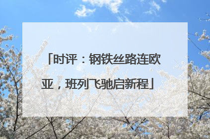 时评：钢铁丝路连欧亚，班列飞驰启新程