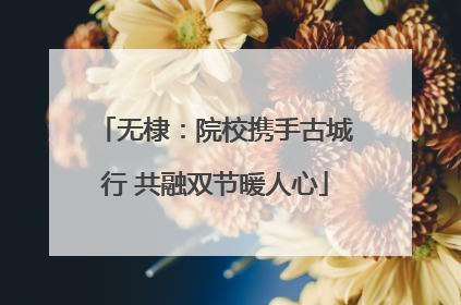 无棣：院校携手古城行 共融双节暖人心