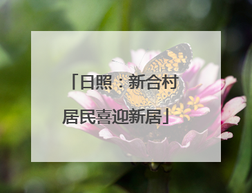 日照：新合村居民喜迎新居