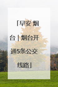 早安 烟台｜烟台开通5条公交线路