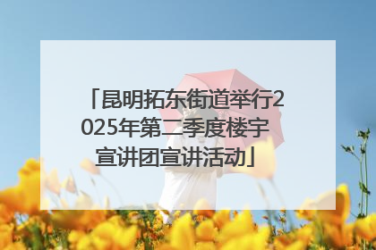 昆明拓东街道举行2025年第二季度楼宇宣讲团宣讲活动