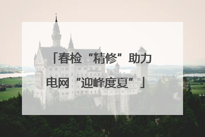 春检“精修”助力电网“迎峰度夏”