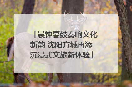 晨钟暮鼓奏响文化新韵 沈阳方城再添沉浸式文旅新体验