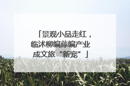 景观小品走红，临沭柳编藤编产业成文旅“新宠”