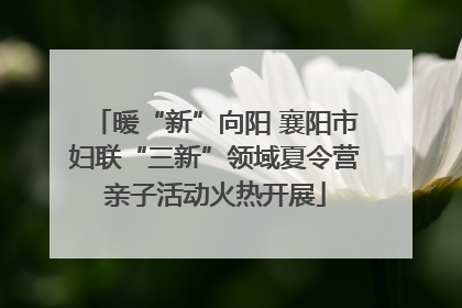 暖“新”向阳 襄阳市妇联“三新”领域夏令营亲子活动火热开展