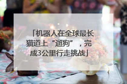 机器人在全球最长猫道上“遛狗”，完成3公里行走挑战