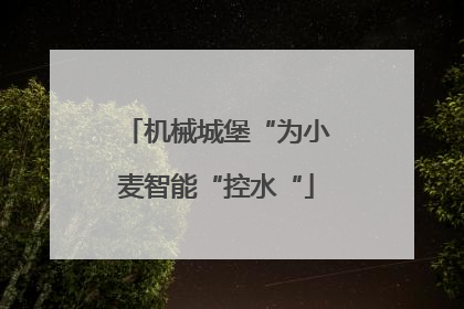 机械城堡“为小麦智能“控水“