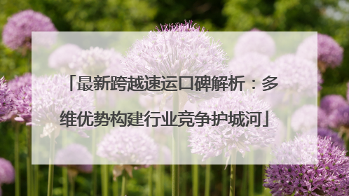 最新跨越速运口碑解析：多维优势构建行业竞争护城河