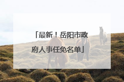 最新！岳阳市政府人事任免名单