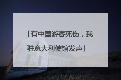 有中国游客死伤，我驻意大利使馆发声