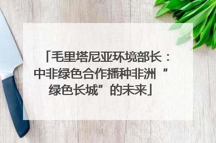 毛里塔尼亚环境部长：中非绿色合作播种非洲“绿色长城”的未来