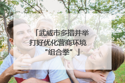 武威市多措并举打好优化营商环境“组合拳”