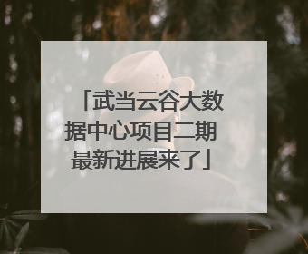 武当云谷大数据中心项目二期最新进展来了