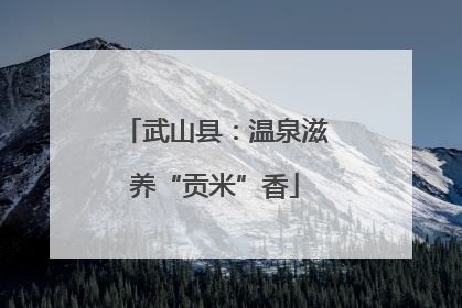 武山县：温泉滋养“贡米”香