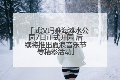 武汉玛雅海滩水公园7日正式开园 后续将推出夏浪音乐节等精彩活动