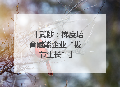 武陟：梯度培育赋能企业“拔节生长”