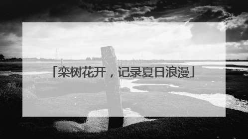 栾树花开，记录夏日浪漫
