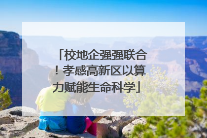 校地企强强联合！孝感高新区以算力赋能生命科学