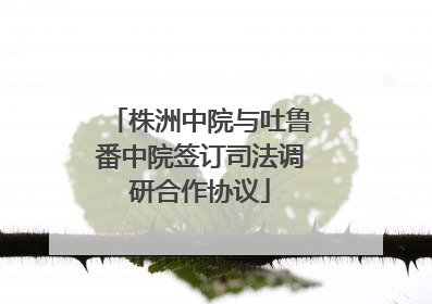 株洲中院与吐鲁番中院签订司法调研合作协议