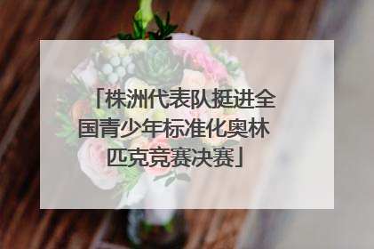 株洲代表队挺进全国青少年标准化奥林匹克竞赛决赛