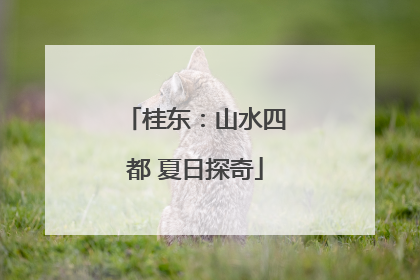 桂东：山水四都 夏日探奇
