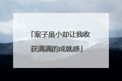 案子虽小却让我收获满满的成就感