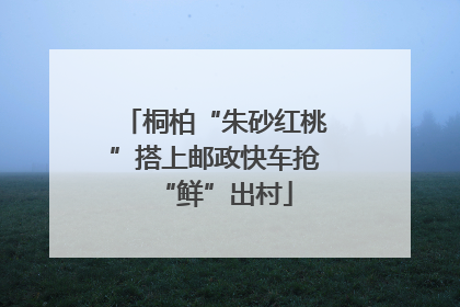 桐柏“朱砂红桃”搭上邮政快车抢“鲜”出村