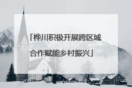 桦川积极开展跨区域合作赋能乡村振兴