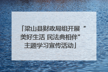 梁山县财政局组开展“美好生活 民法典相伴”主题学习宣传活动