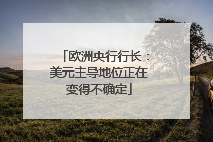 欧洲央行行长：美元主导地位正在变得不确定