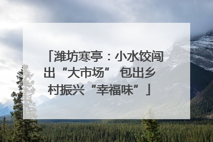 潍坊寒亭：小水饺闯出“大市场” 包出乡村振兴“幸福味”