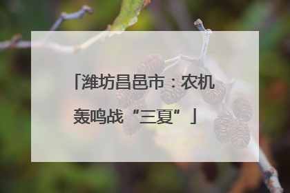 潍坊昌邑市：农机轰鸣战“三夏”