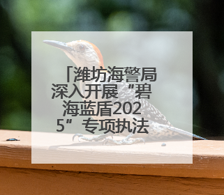 潍坊海警局深入开展“碧海蓝盾2025”专项执法行动