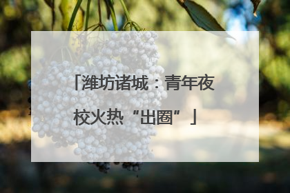 潍坊诸城：青年夜校火热“出圈”