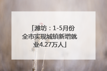 潍坊：1-5月份全市实现城镇新增就业4.27万人