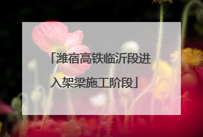 潍宿高铁临沂段进入架梁施工阶段