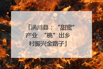 潢川县：“甜蜜”产业  “桃”出乡村振兴金路子