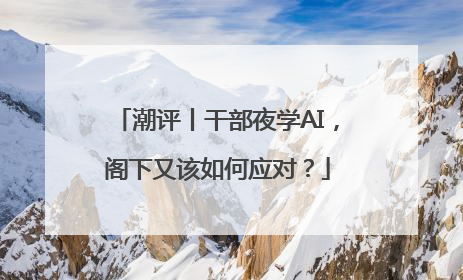 潮评丨干部夜学AI，阁下又该如何应对？