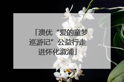 澳优“爱的童梦巡游记”公益行走进怀化溆浦