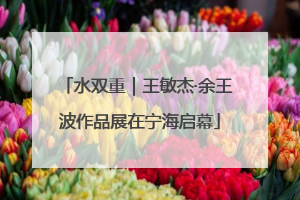 水双重｜王敏杰·余王波作品展在宁海启幕