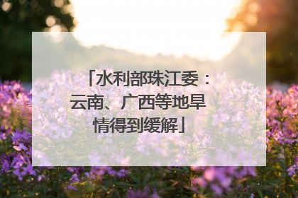 水利部珠江委：云南、广西等地旱情得到缓解
