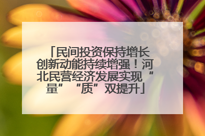 民间投资保持增长 创新动能持续增强！河北民营经济发展实现“量”“质”双提升