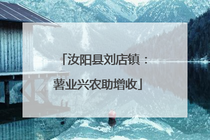 汝阳县刘店镇：薯业兴农助增收