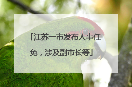 江苏一市发布人事任免，涉及副市长等